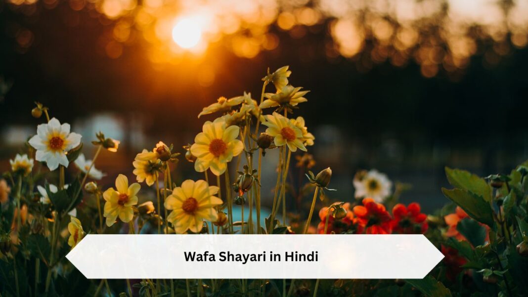 Wafa-Shayari-in-Hindi Wafa Shayari in Hindi
